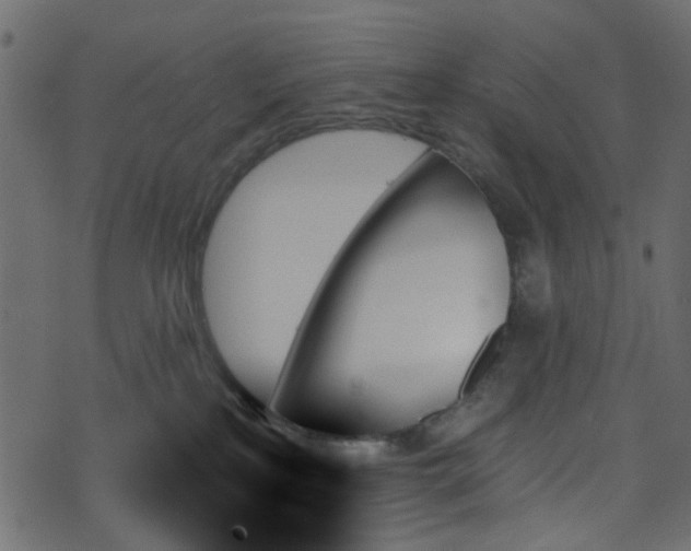 X0000070860233200606231301