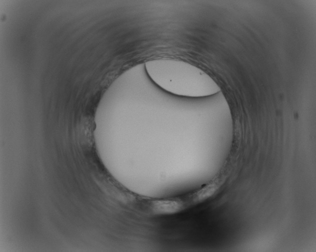 X0000070860234200606231301