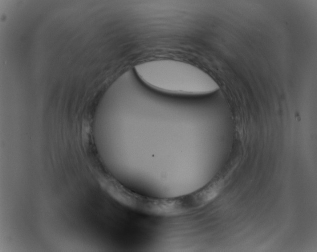 X0000070860235200606231301