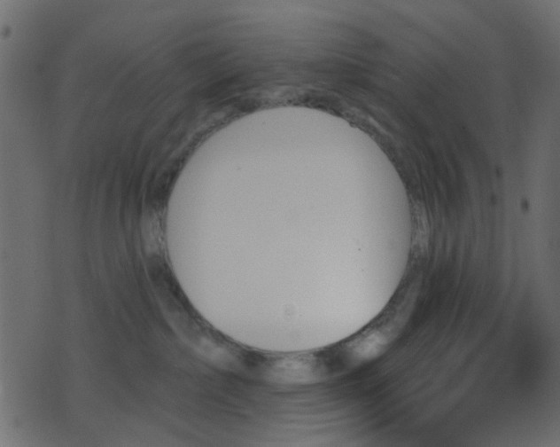 X0000070860236200606231301