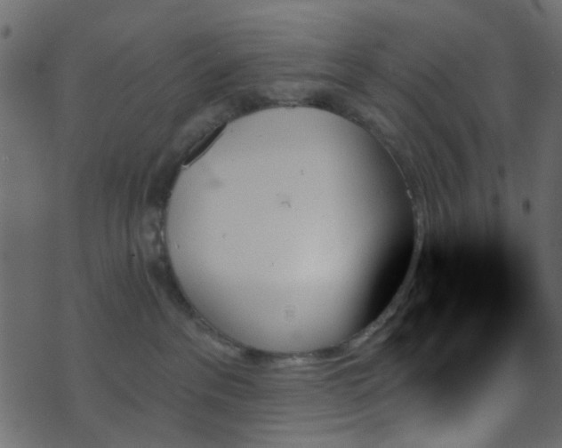 X0000070860237200606231300