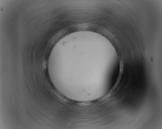 X0000070860238200606231300