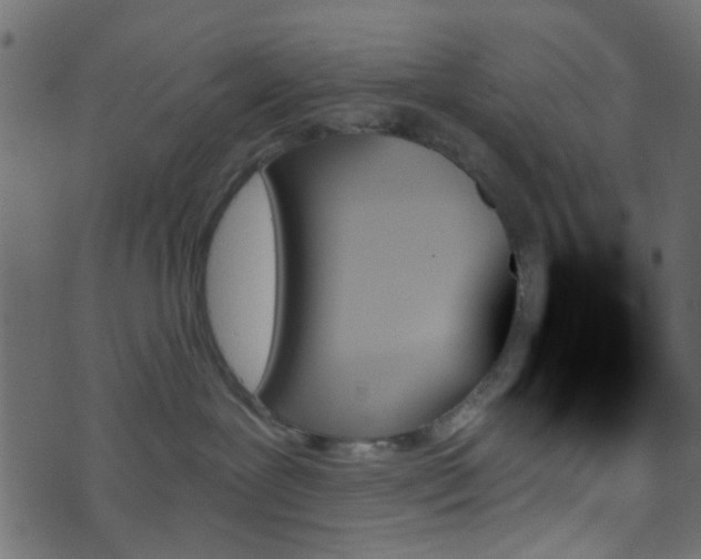 X0000070860239200606231300