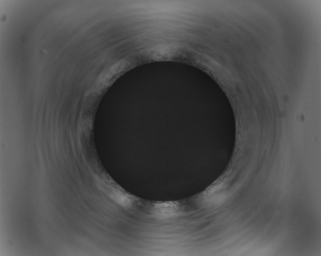 X0000070860240200606231300