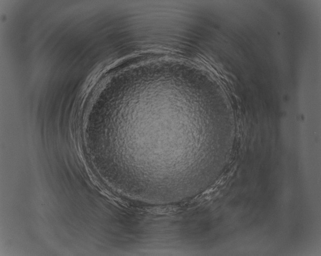 X0000070860241200606231300