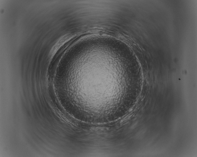 X0000070860242200606231300