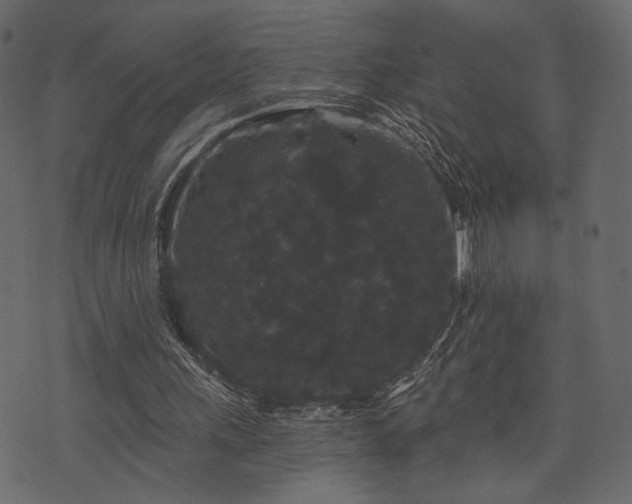 X0000070860243200606231300