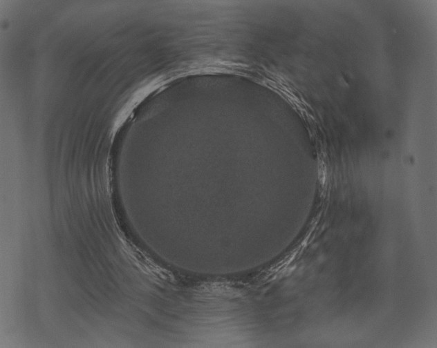 X0000070860244200606231300