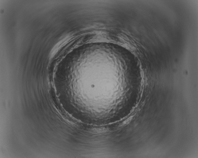 X0000070860245200606231300