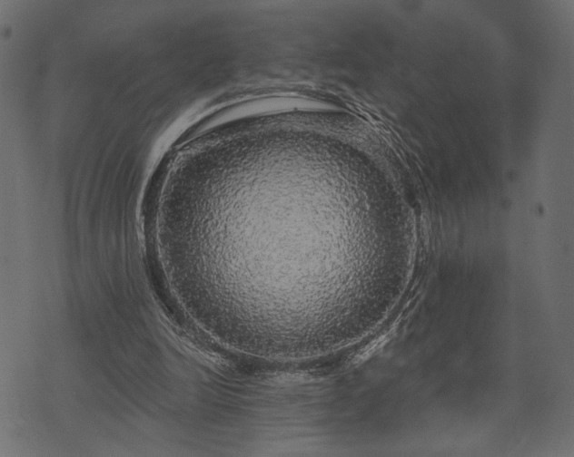 X0000070860246200606231300