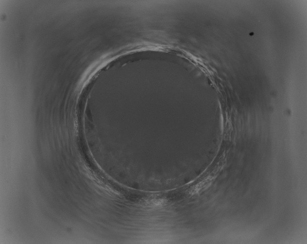 X0000070860247200606231300