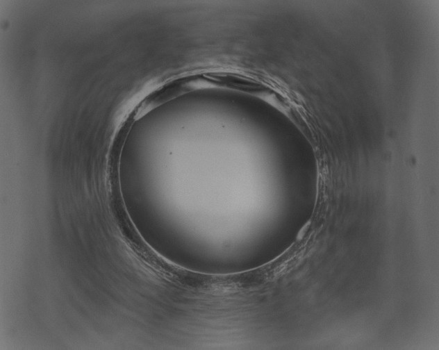 X0000070860248200606231300