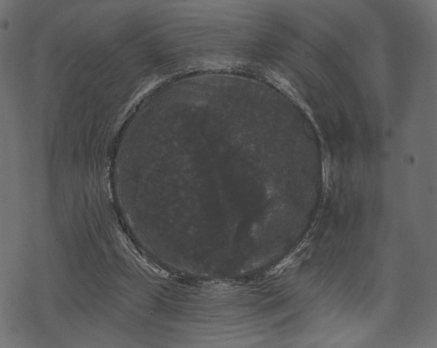 X0000070860249200606231300