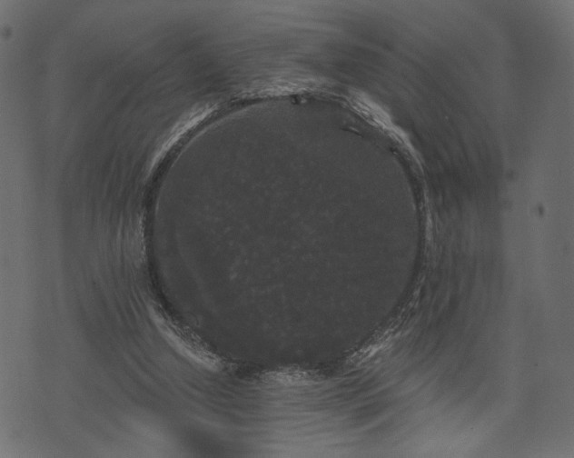 X0000070860250200606231300