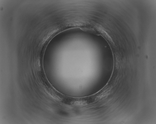 X0000070860251200606231300