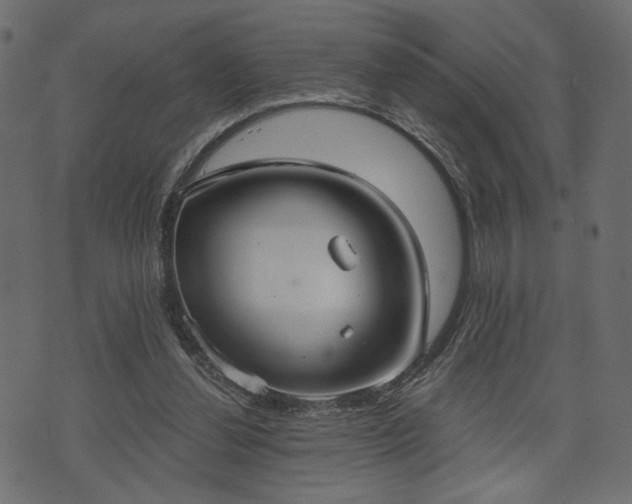 X0000070860252200606231300