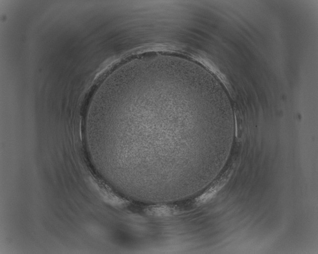 X0000070860253200606231300