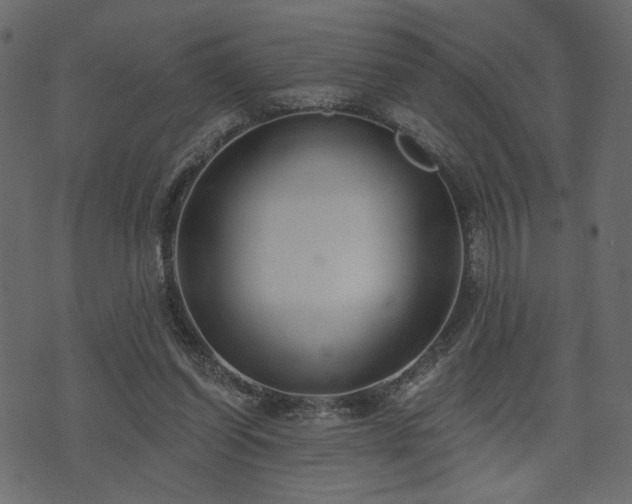 X0000070860254200606231300