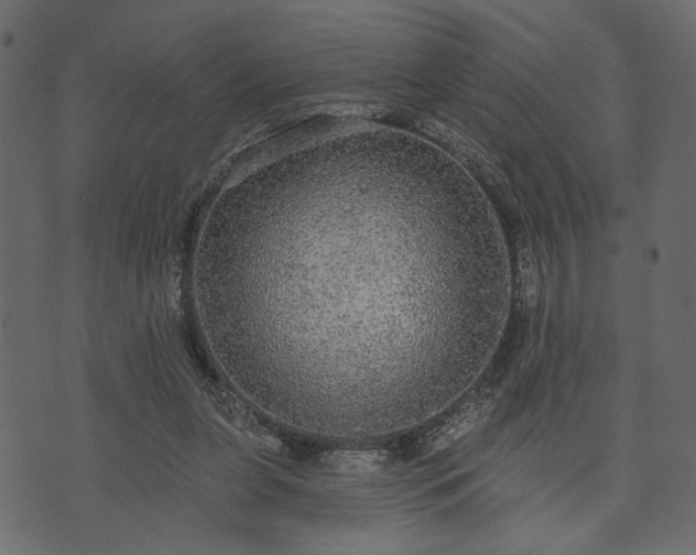 X0000070860255200606231300