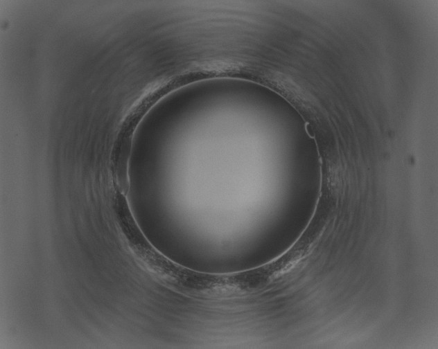 X0000070860256200606231300