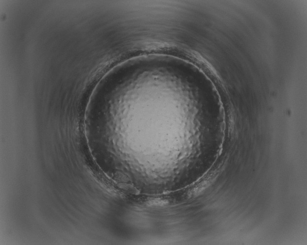 X0000070860257200606231300