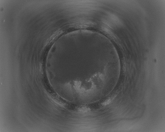 X0000070860258200606231300