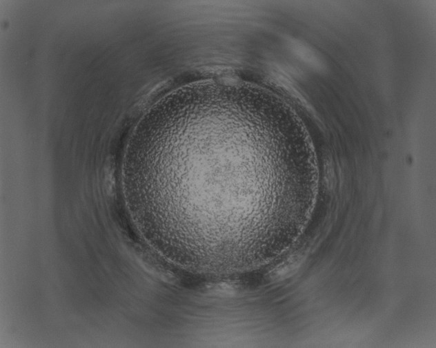 X0000070860259200606231300