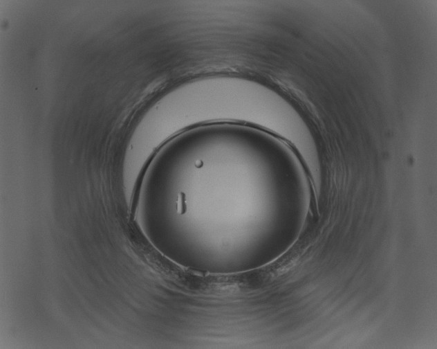 X0000070860260200606231300