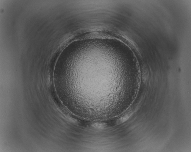 X0000070860261200606231300