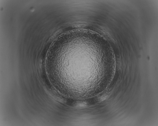 X0000070860263200606231300