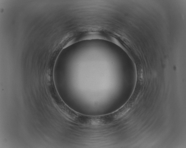 X0000070860264200606231300