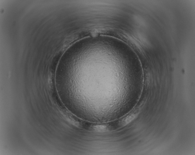 X0000070860265200606231300