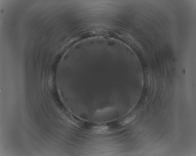 X0000070860266200606231300