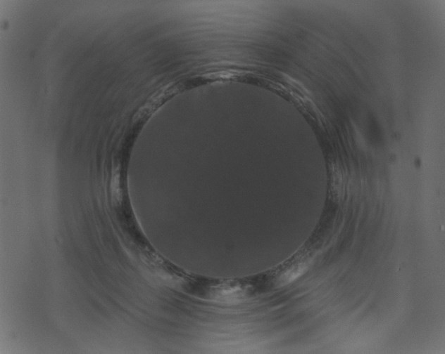 X0000070860267200606231300