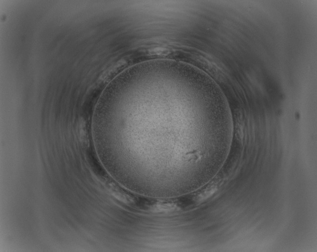 X0000070860270200606231300