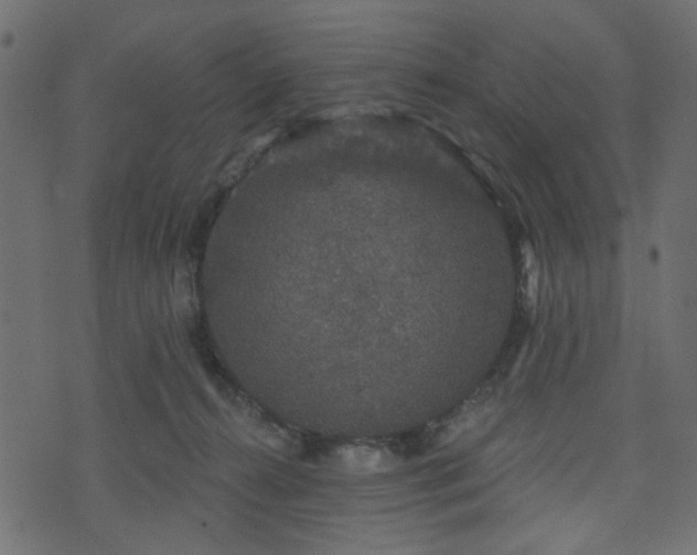 X0000070860272200606231300