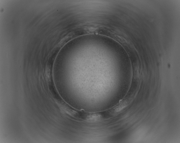 X0000070860274200606231300