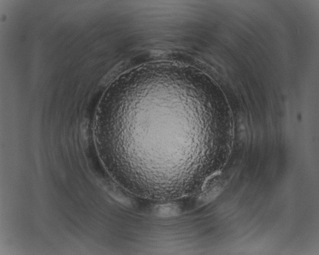 X0000070860275200606231300