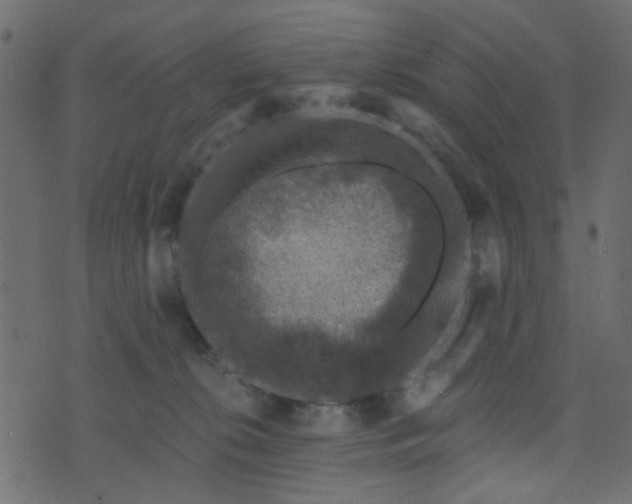 X0000070860276200606231300