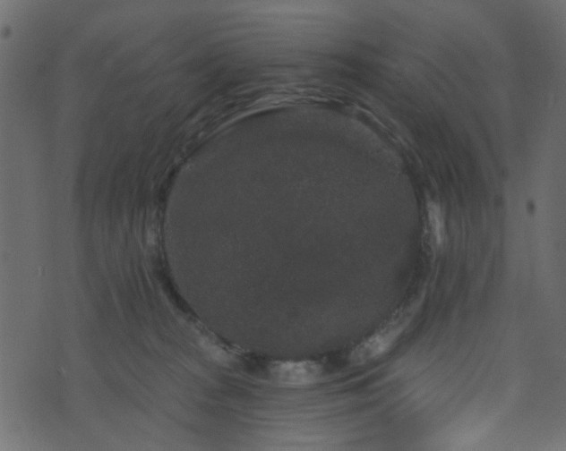 X0000070860277200606231300