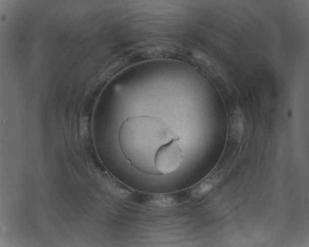 X0000070860278200606231300