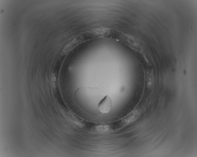 X0000070860279200606231300