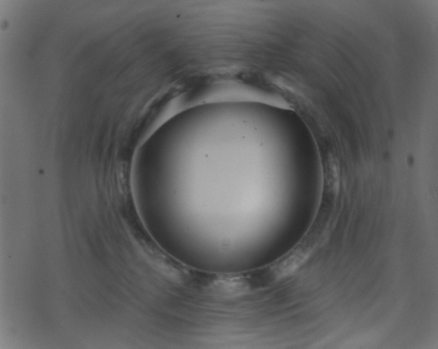 X0000070860280200606231300