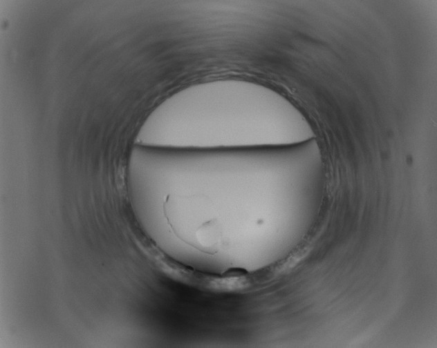 X0000070860281200606231300