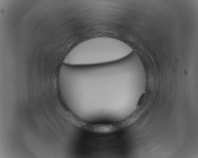 X0000070860282200606231300