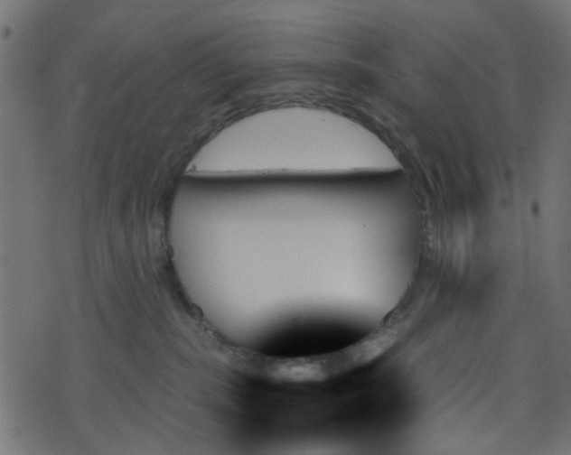 X0000070860283200606231300