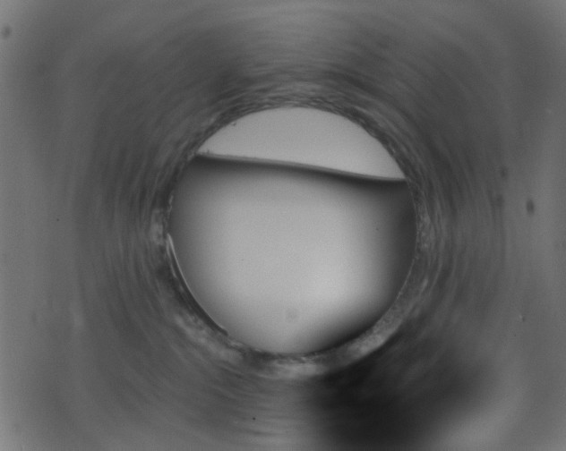 X0000070860284200606231300