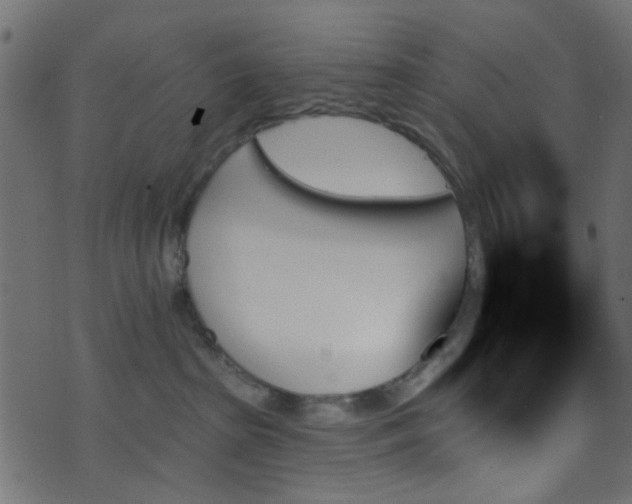 X0000070860285200606231300