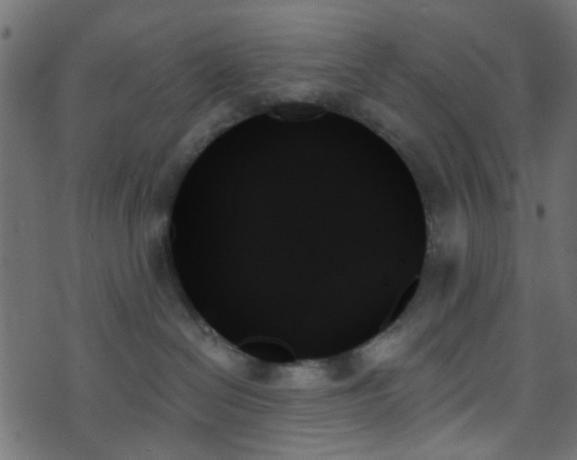 X0000070860286200606231300