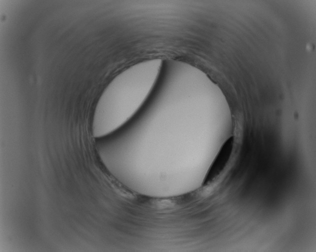 X0000070860287200606231300